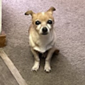 Meet your Posher, Mya